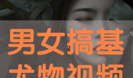 男女搞鸡视频,一场道德与伦理的较量